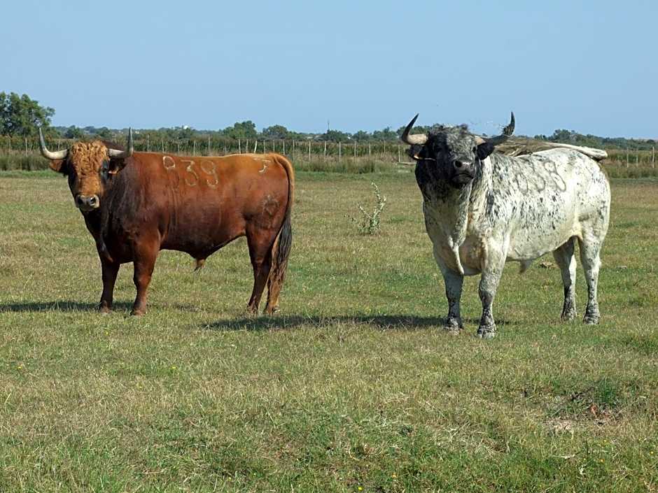 Auberge des Plaines - Appart'hôtel