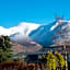 The Mount B&B