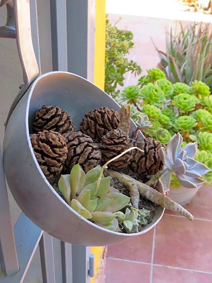 HIGOS CHUMBOS, CASA RURAL COMPARTIDO