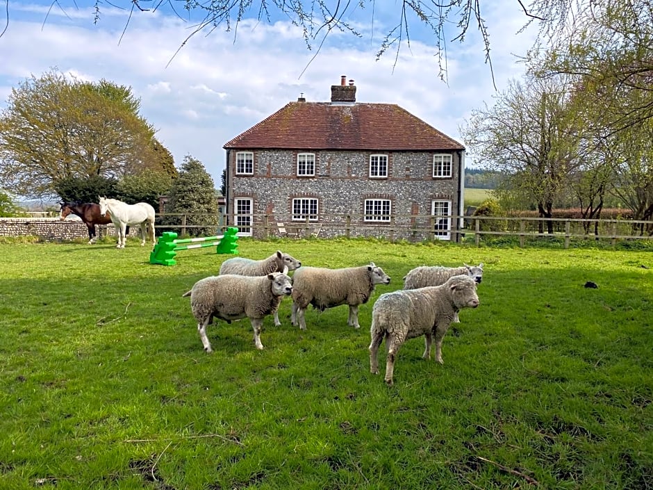 Charlton End - Goodwood Events