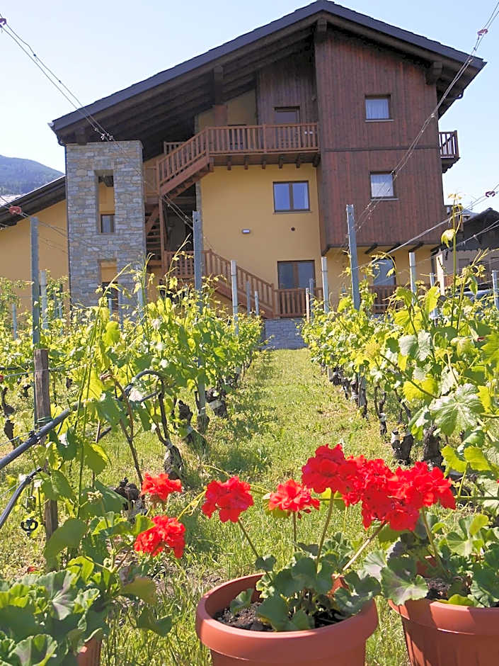 La Vigne de Papagran