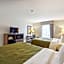 Quality Inn & Suites Dawsonville