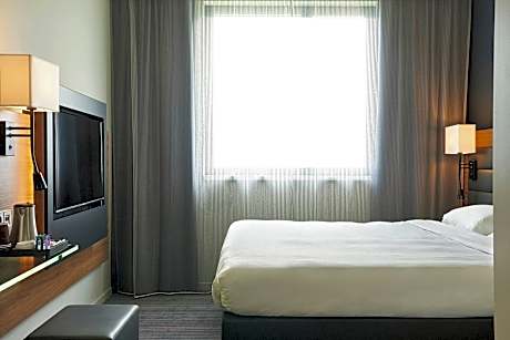 Family Room Queen Size Bed