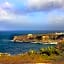 Tropical Winds