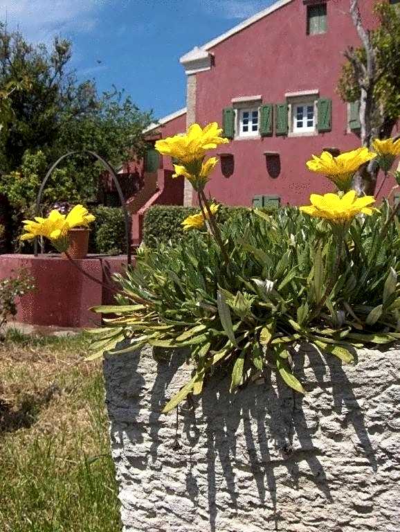 Villa De Loulia