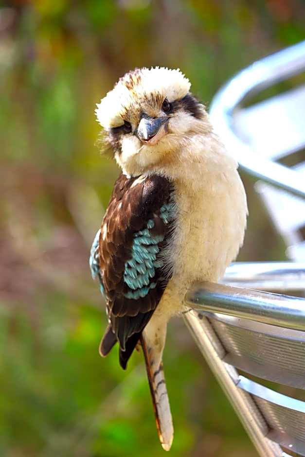Southern Ocean Retreats - Deep Creek National Park