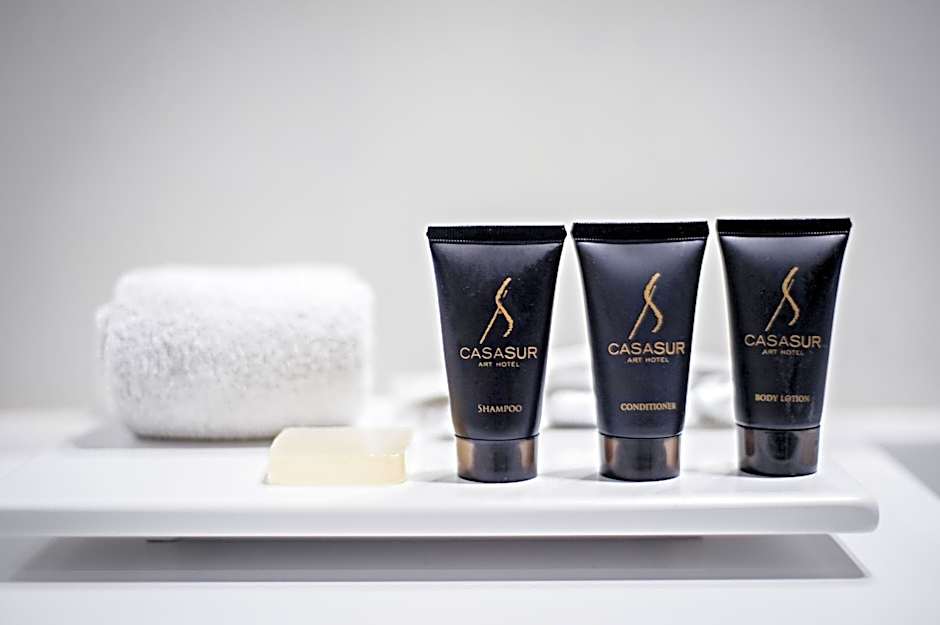 CasaSur Palermo Hotel