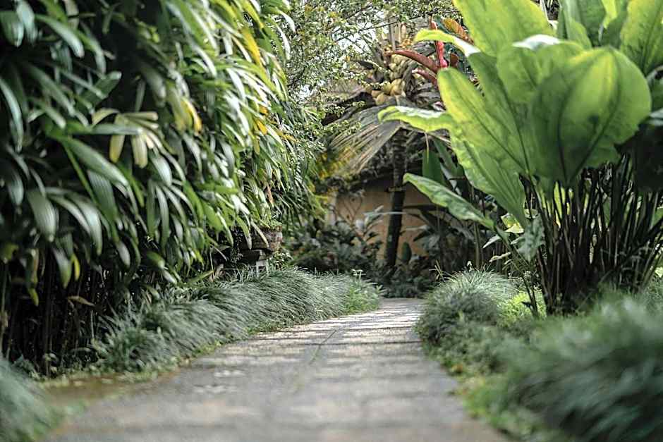 Padi Bali Retreat