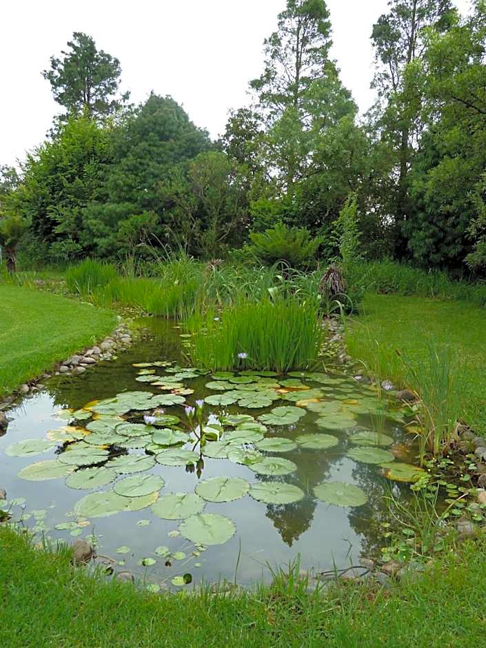 Drakensberg Inkosana Lodge