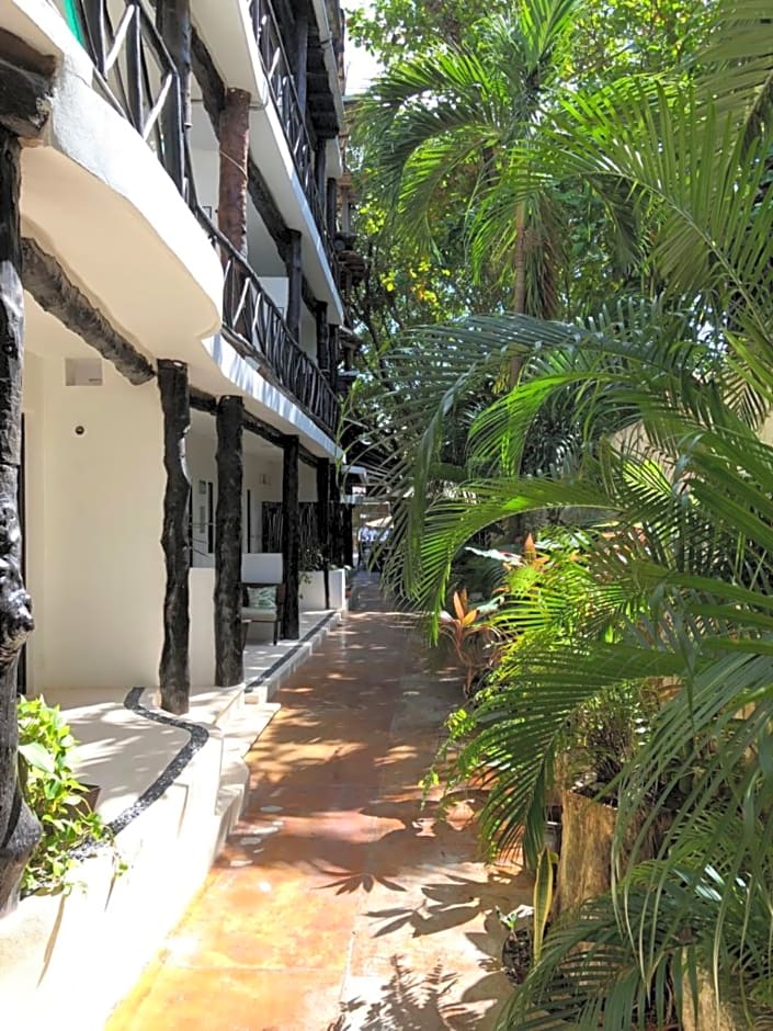Siesta Fiesta Hotel - 5th Avenue- Adults Only