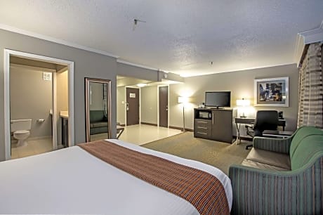 Larger King Suite with Sofa Bed