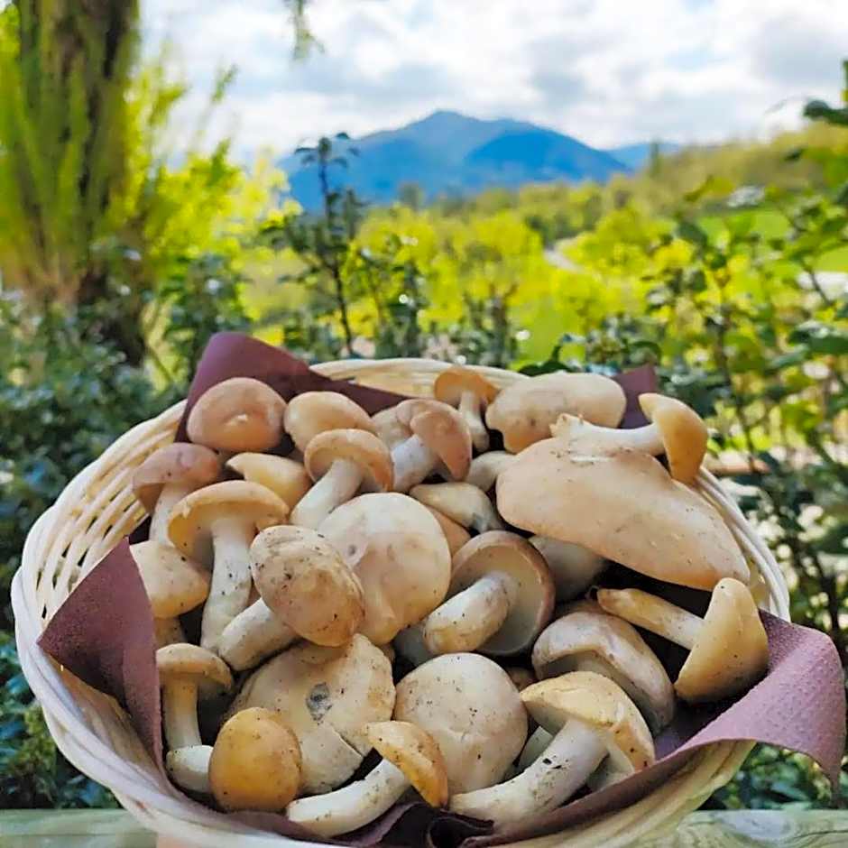 Locanda Romana