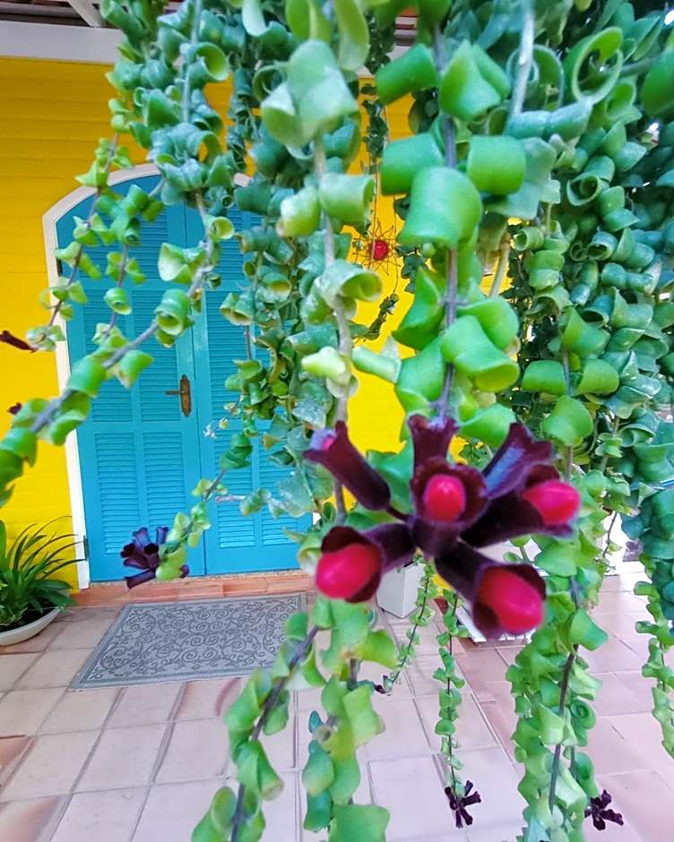 Pousada das Flores