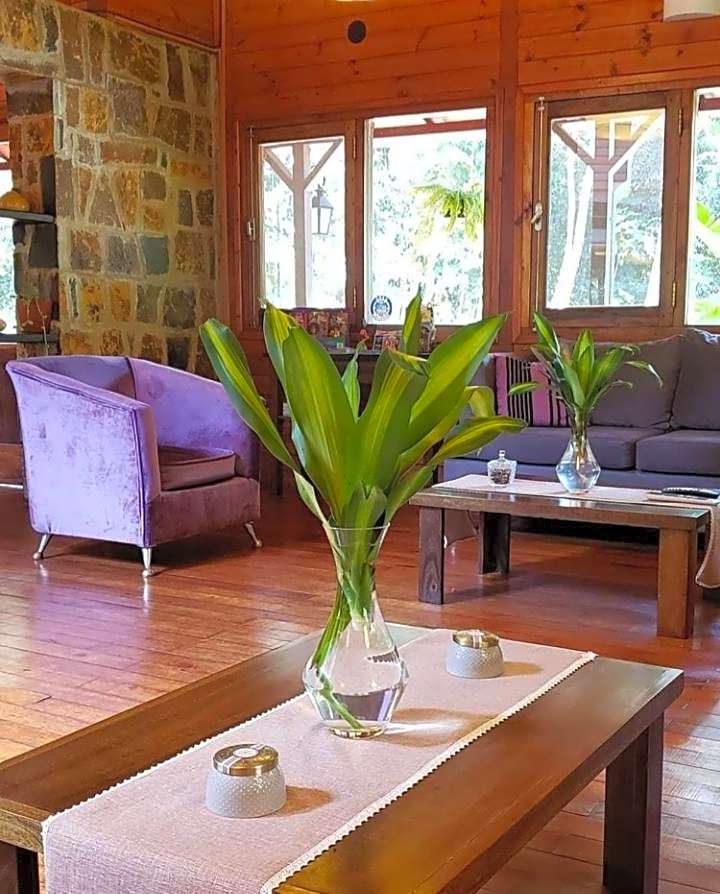 Selva de Laurel