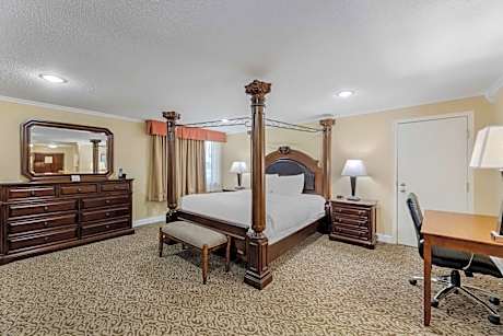 Executive King Suite with Sofa Bed