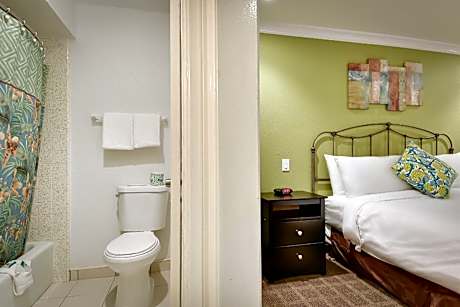 Premium King Room Non-Smoking