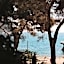 Le Jardin d'Emile