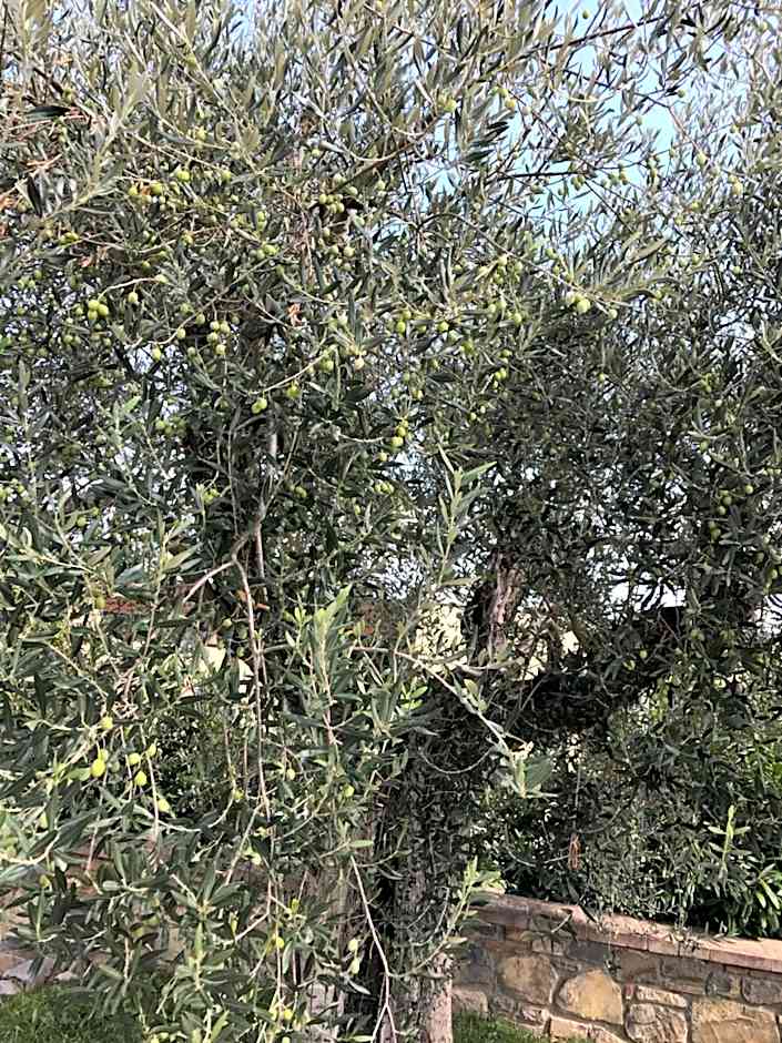 Azienda Agrituristica I Tre Casali