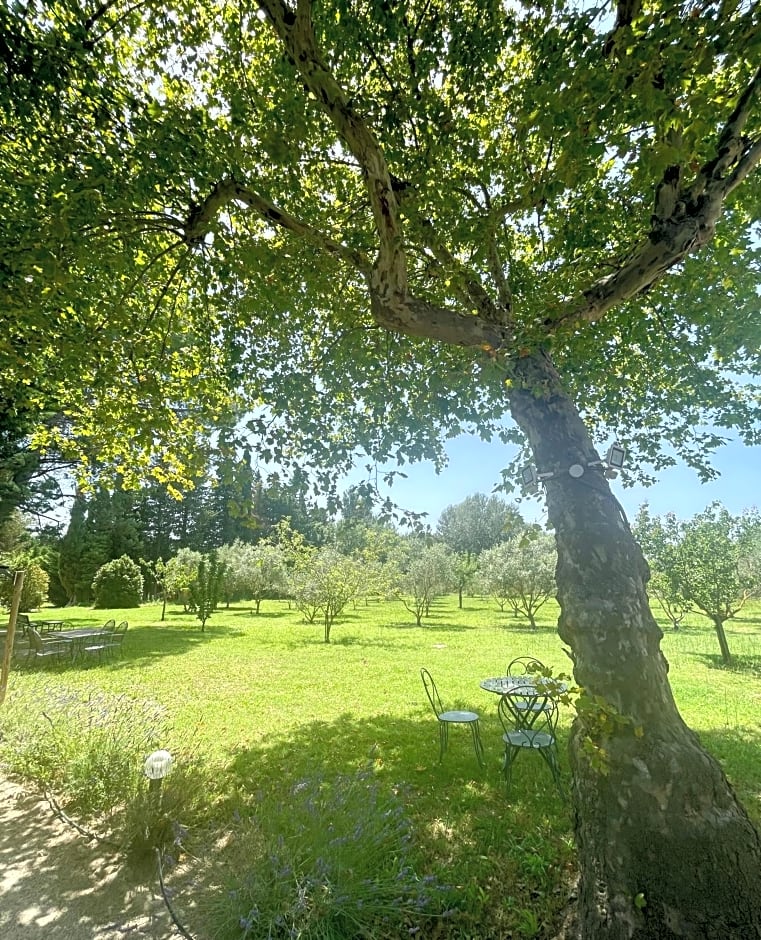 Domaine Au Coeur des Alpilles