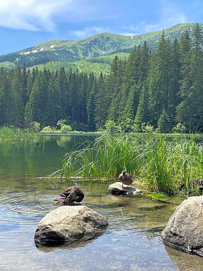 Hotel Mikulášska Chata