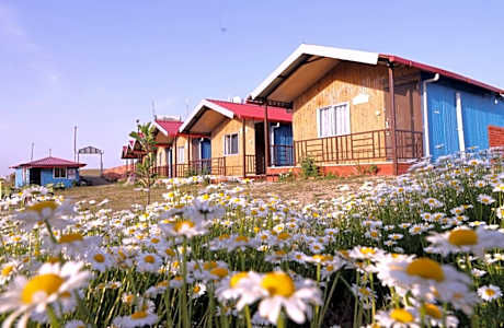 Chakrata Pacific Resort & Spa