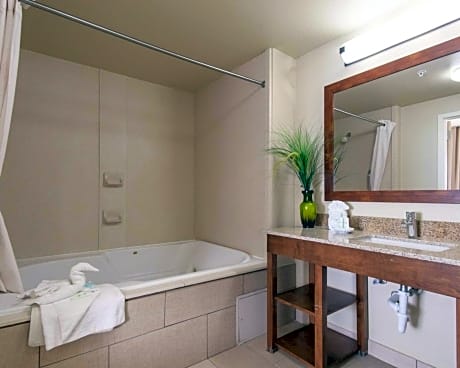 1 King Bed, Efficiency, Suite, Nonsmoking