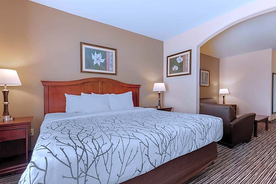 Best Western Plus Sweetwater Inn & Suites