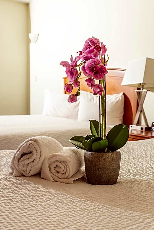 Photo 1 of 5 of 2 Queen Beds