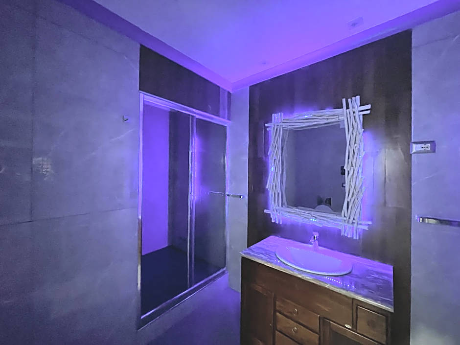 PALAZZO FIACCADORI - Historical Palace