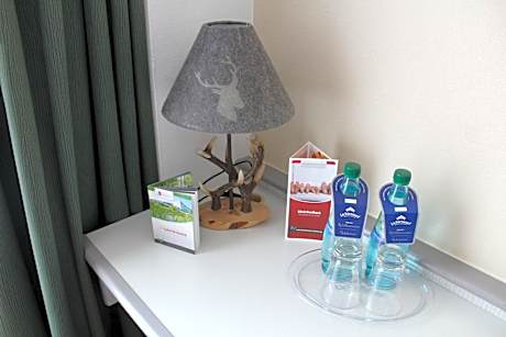 Double or Twin Room with View