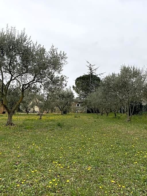 Le Nomade en Provence
