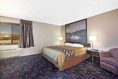 1 King Bed Pet-Friendly Studio Suite Non-Smoking