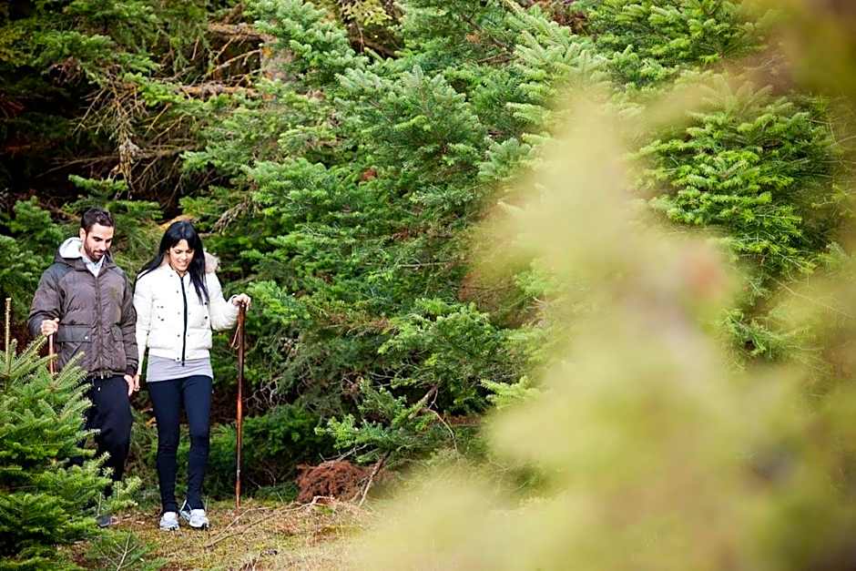 Kalavrita Canyon Hotel & Spa