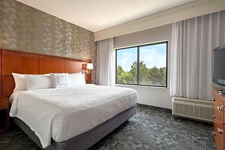 One-Bedroom King Suite with Sofa Bed