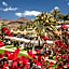 Grupotel Las Pitas