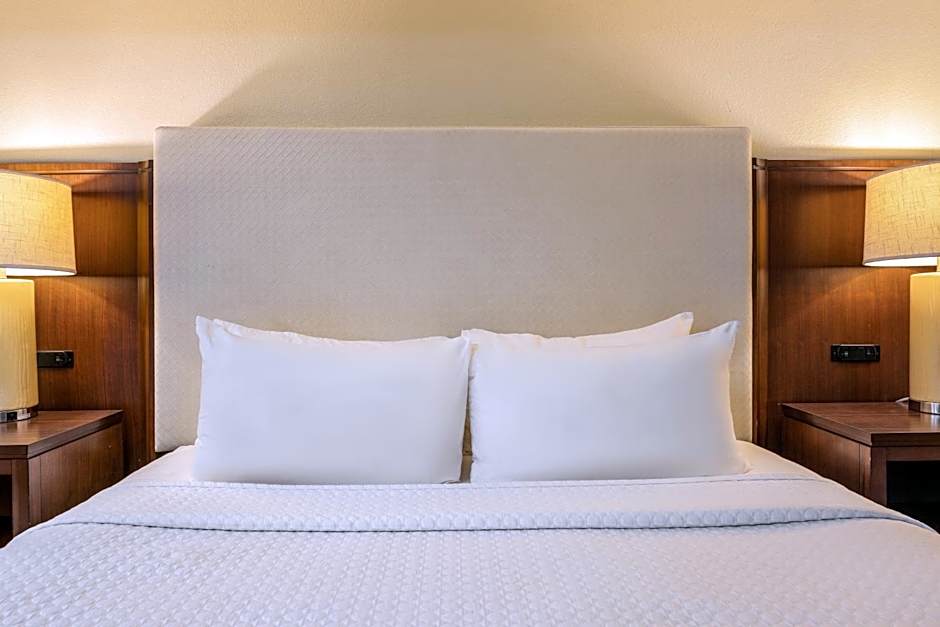 Photo 1 of 5 of Standard 1 King Bed, Mobility Accessible, Bathtub