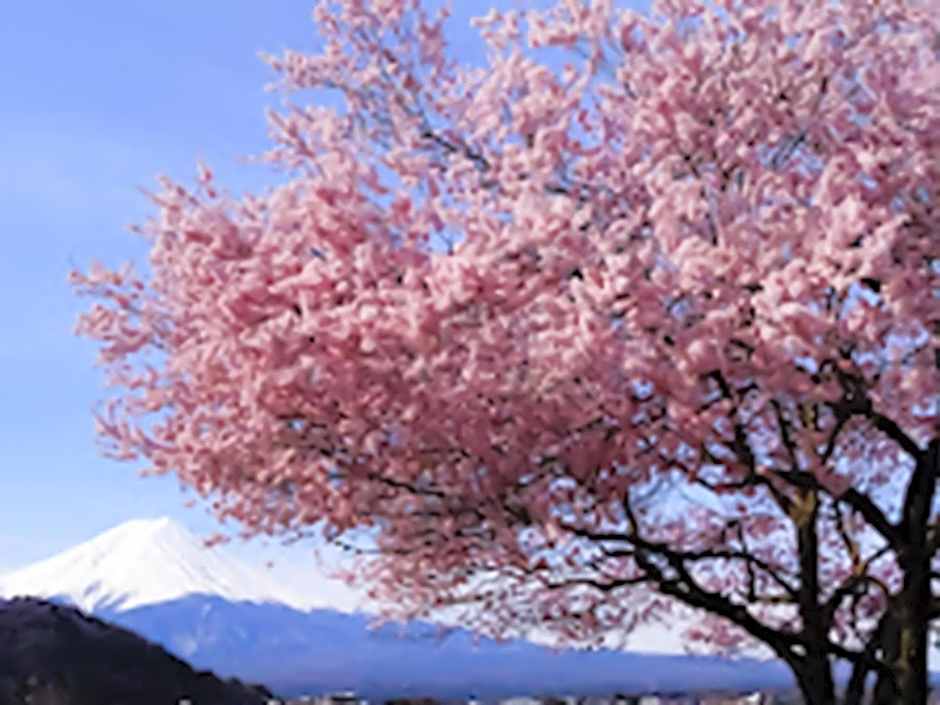 Shoji Mount Hotel - Vacation STAY 83000v