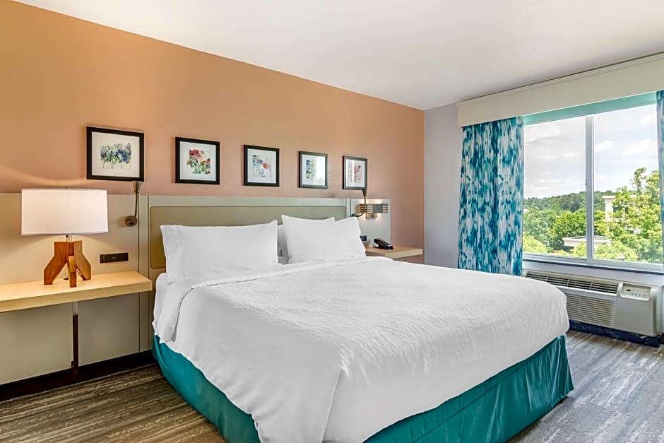 Hilton Garden Inn Atlanta Ne/Gwinnett Sugarloaf