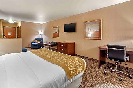 1 King Bed, Suite, Nonsmoking
