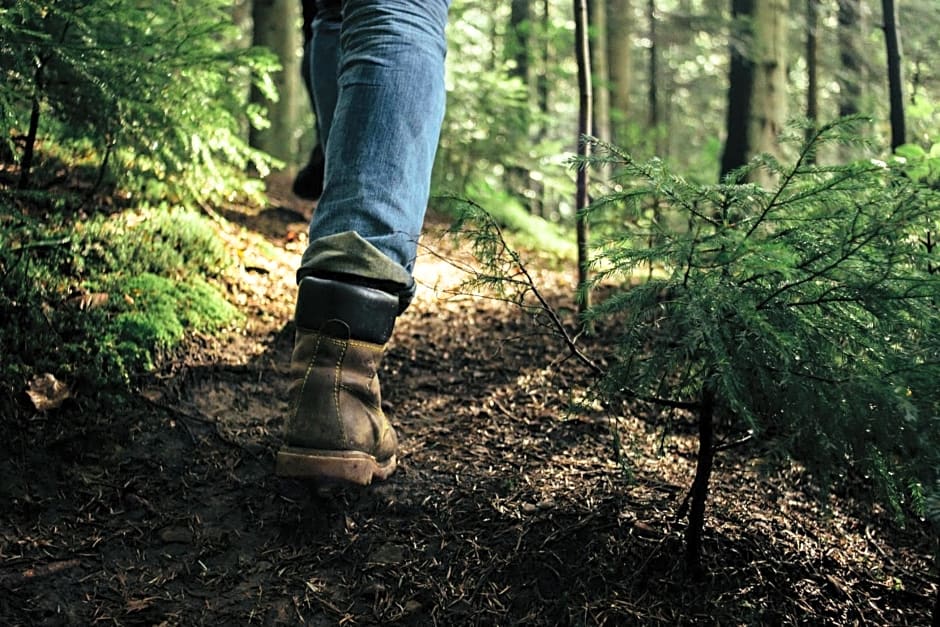 Maruia River Retreat