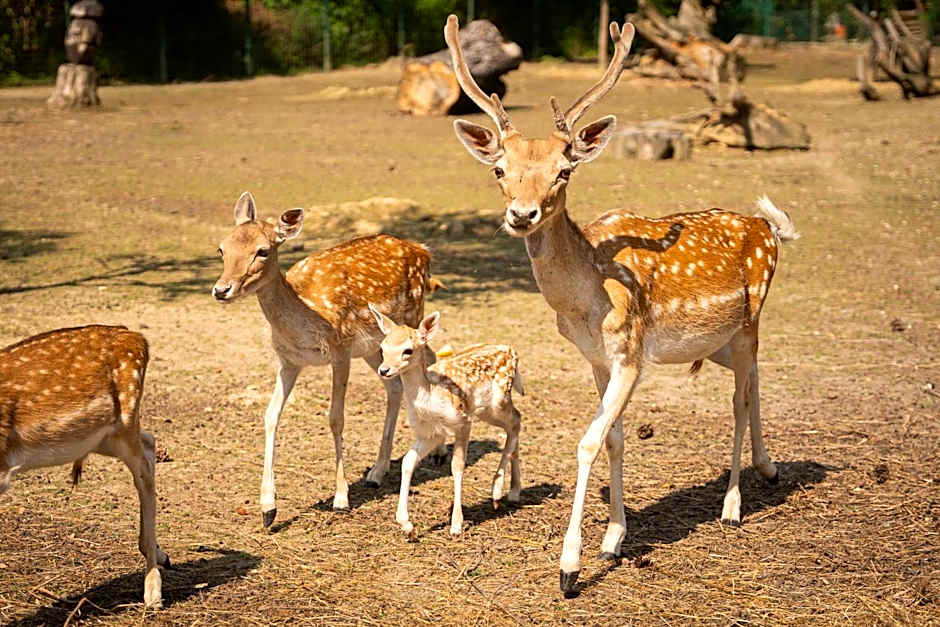 Terme Di Monte Valenza