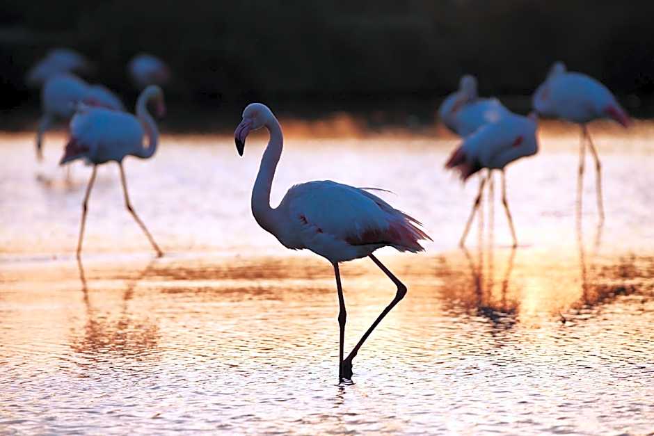 Hotel Le Méditérranée