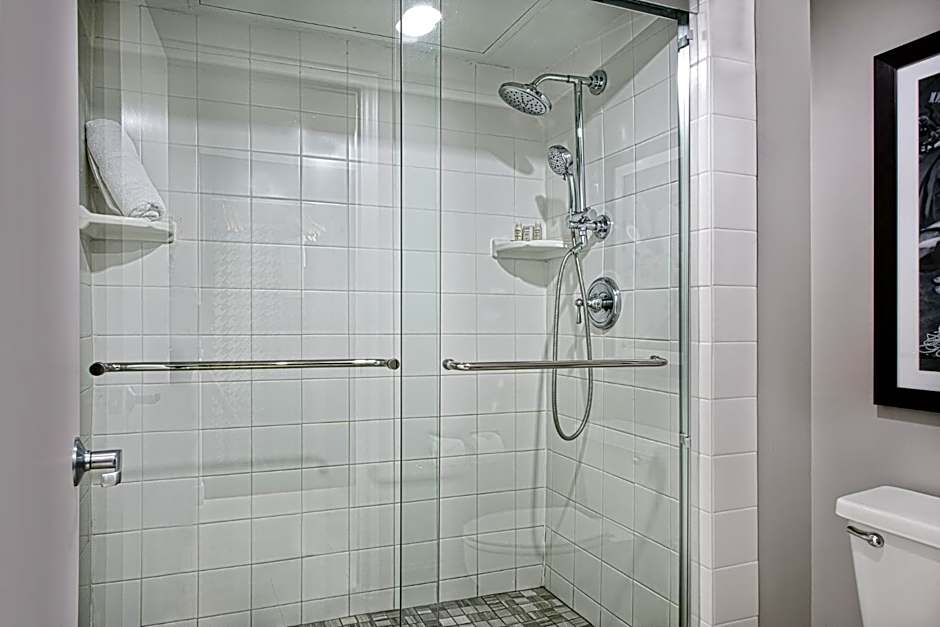 Hotel Indigo Dallas Downtown By IHG