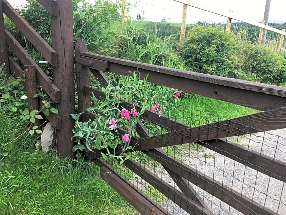 Jacquie's B&B -Dumfries-Room with a view