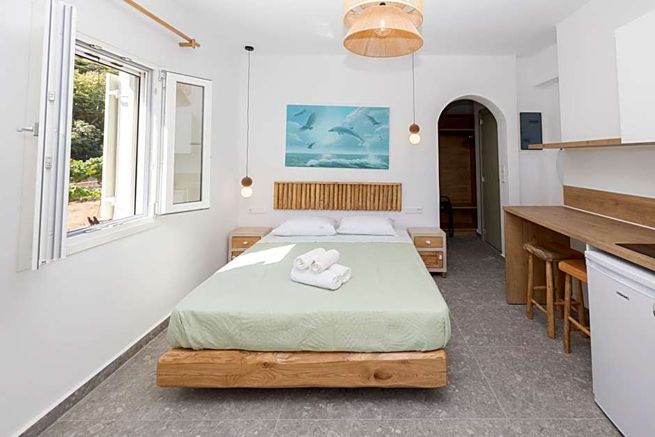 Delfinaki Boutique Apartments Lionas beach ,Naxos
