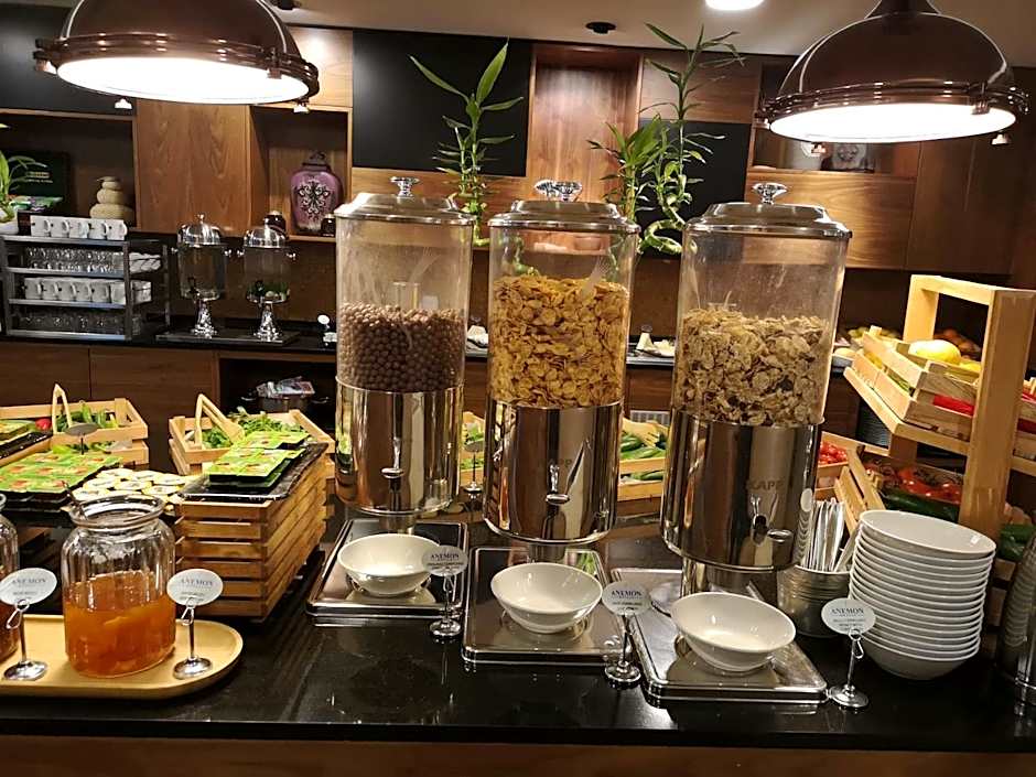 Anemon Kent Ankara Otel