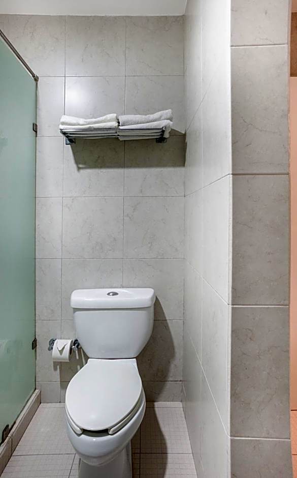 Capital O Veracruz Suites