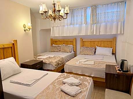 Basement Economy Family Room