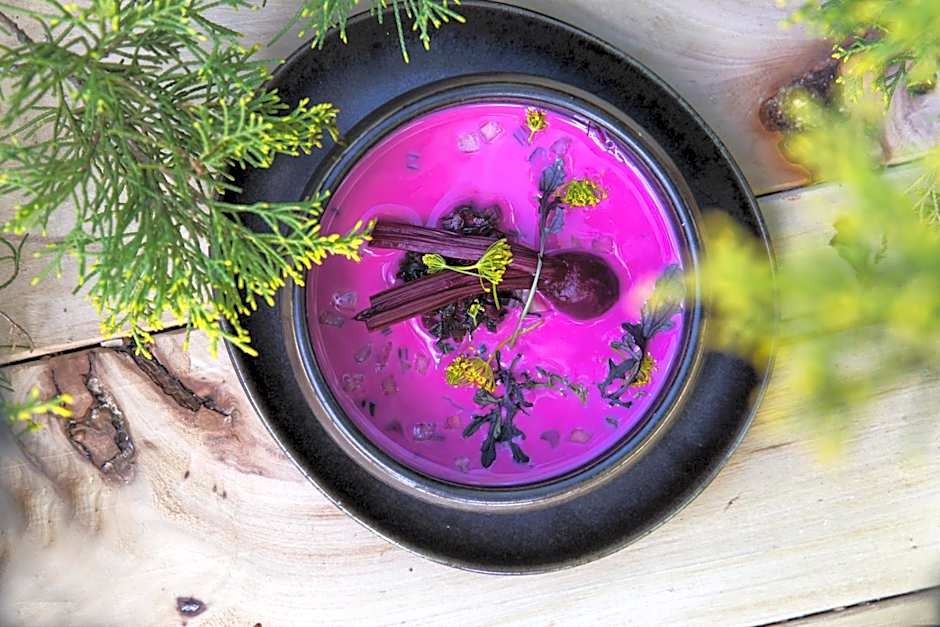 Hotel Pałac Alexandrinum