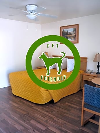 Standard Queen Room - Pet Friendly